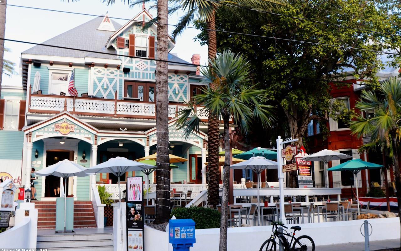 Restaurant and cafe customer scene